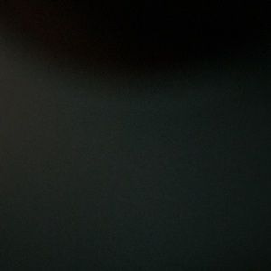 Meet your Posher, Bella